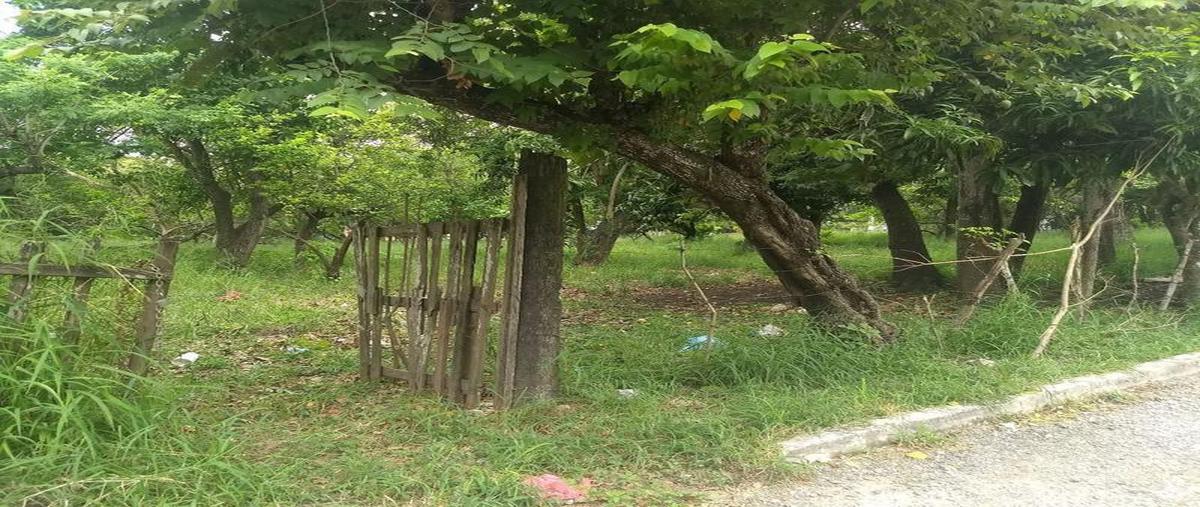 Foto de terreno habitacional en venta en magnolia htv2821e , ciudad cuauhtémoc, pueblo viejo, veracruz de ignacio de la llave, 5860161 No. 04