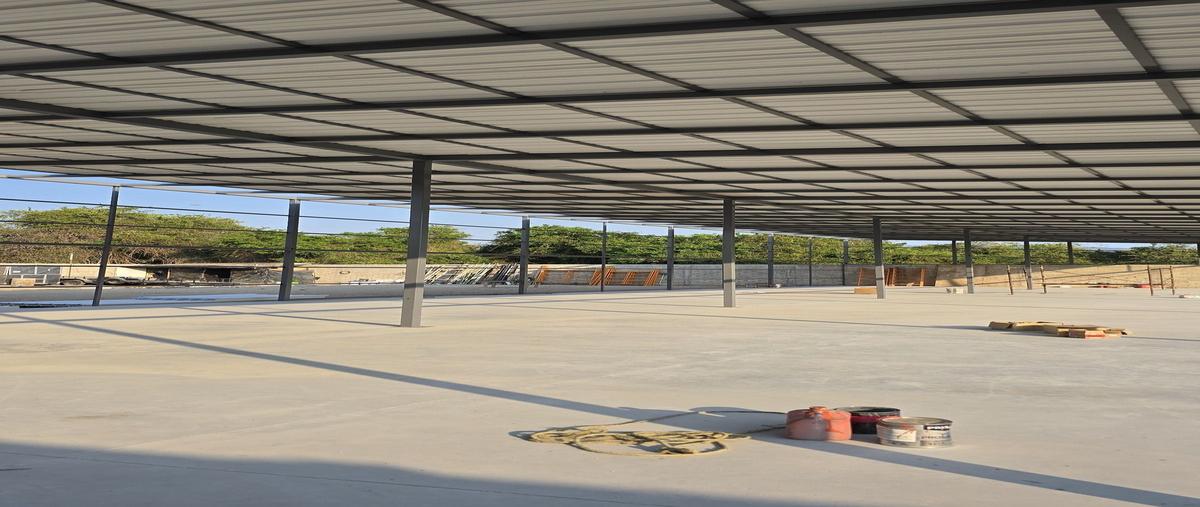 Foto de terreno comercial en renta en magnolia , rincón del puerto, puerto vallarta, jalisco, 27610552 No. 18