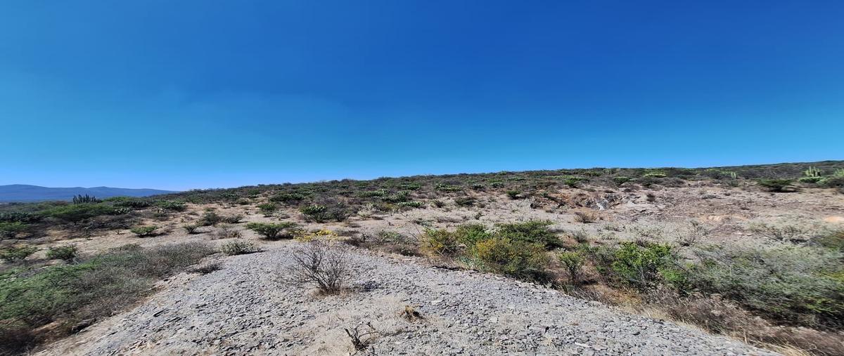 Foto de terreno habitacional en venta en  , maguey verde, tecozautla, hidalgo, 31550518 No. 03