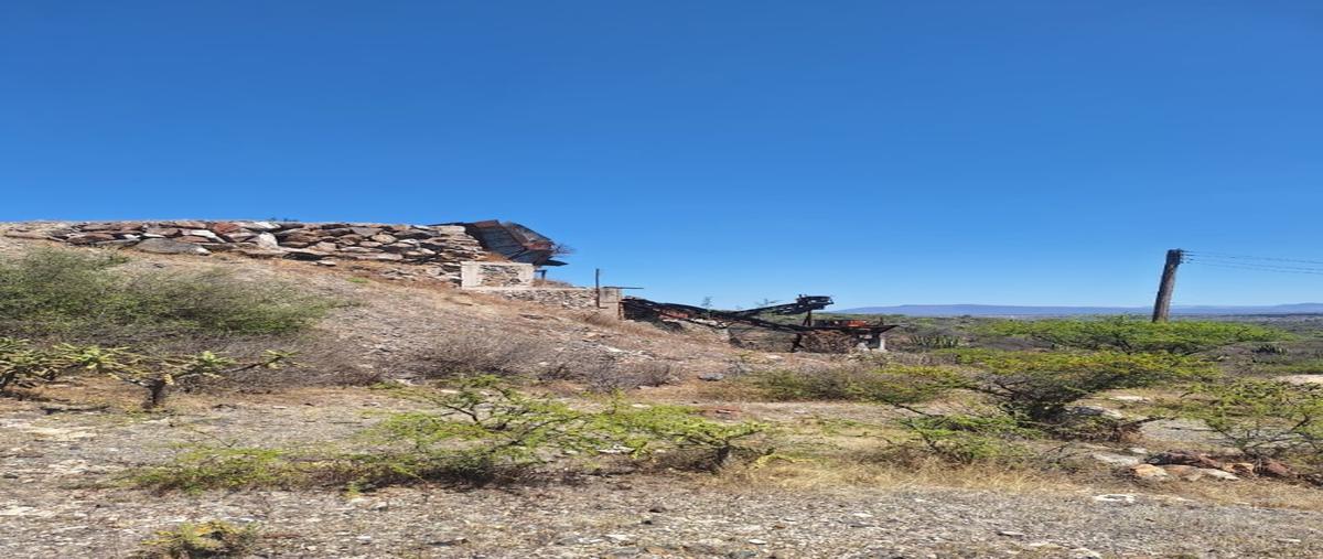 Foto de terreno habitacional en venta en  , maguey verde, tecozautla, hidalgo, 31550518 No. 04