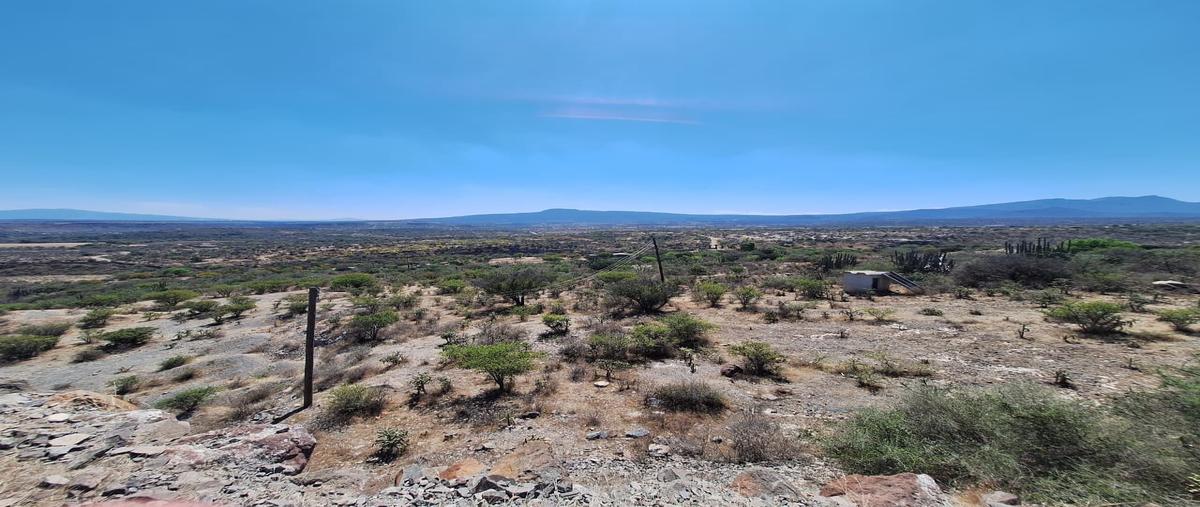 Foto de terreno habitacional en venta en  , maguey verde, tecozautla, hidalgo, 31550518 No. 05