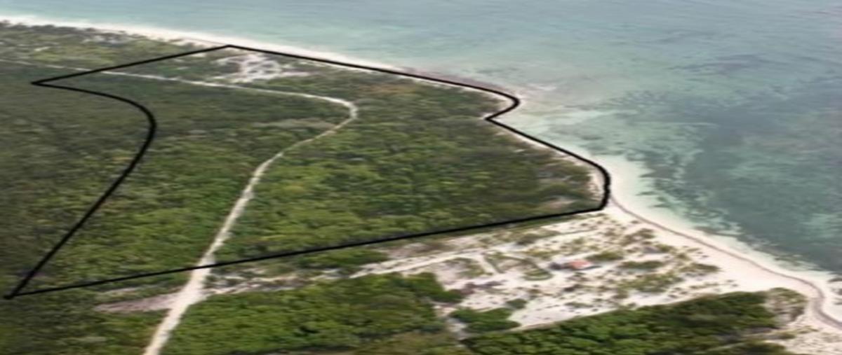 Foto de terreno industrial en mahahual , mahahual, othón p. blanco, quintana roo, 25749060 foto 01 Foto de terreno industrial en venta en mahahual , mahahual, othón p. blanco, quintana roo, 25749060 No. 01