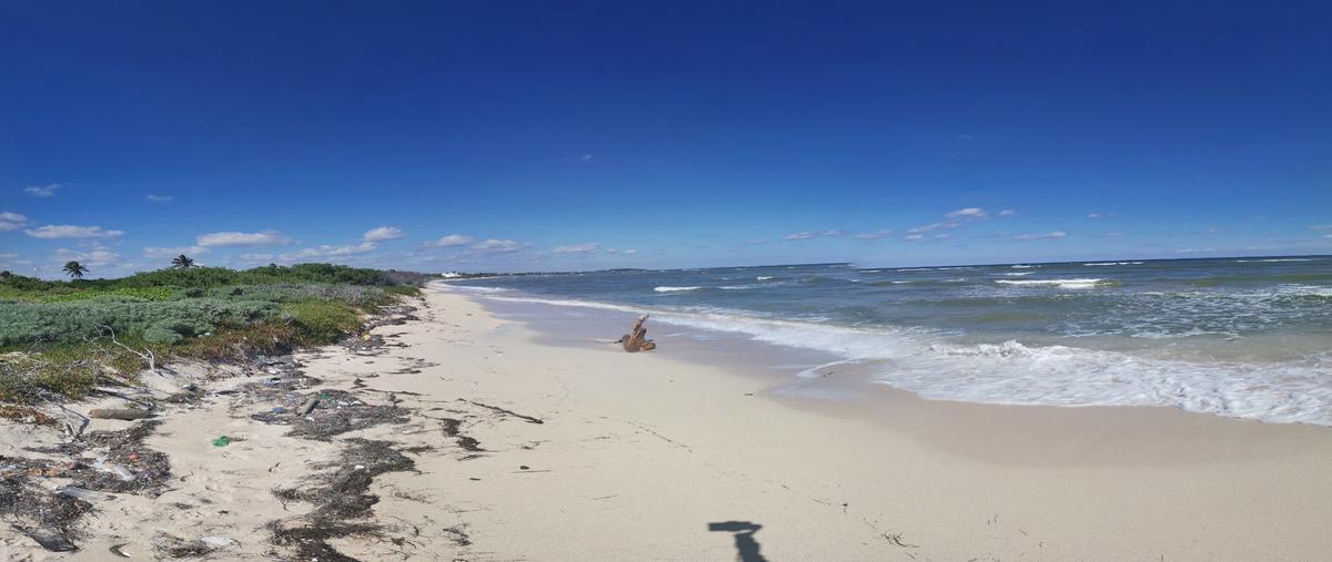 Foto de terreno habitacional en venta en  , mahahual, othón p. blanco, quintana roo, 12423247 No. 03