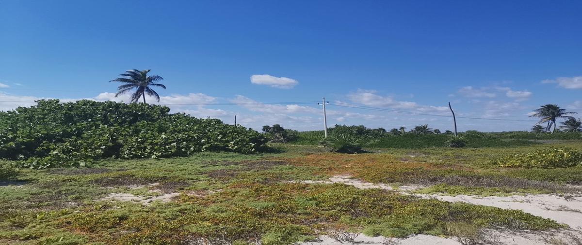 Foto de terreno habitacional en venta en  , mahahual, othón p. blanco, quintana roo, 12423247 No. 04