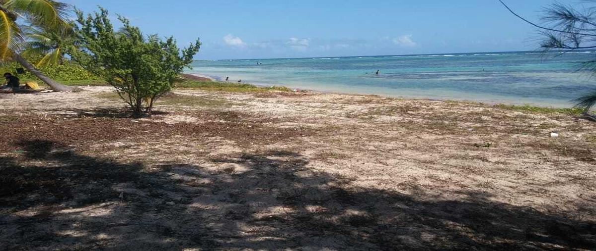 Foto de terreno habitacional en venta en  , mahahual, othón p. blanco, quintana roo, 16221854 No. 04
