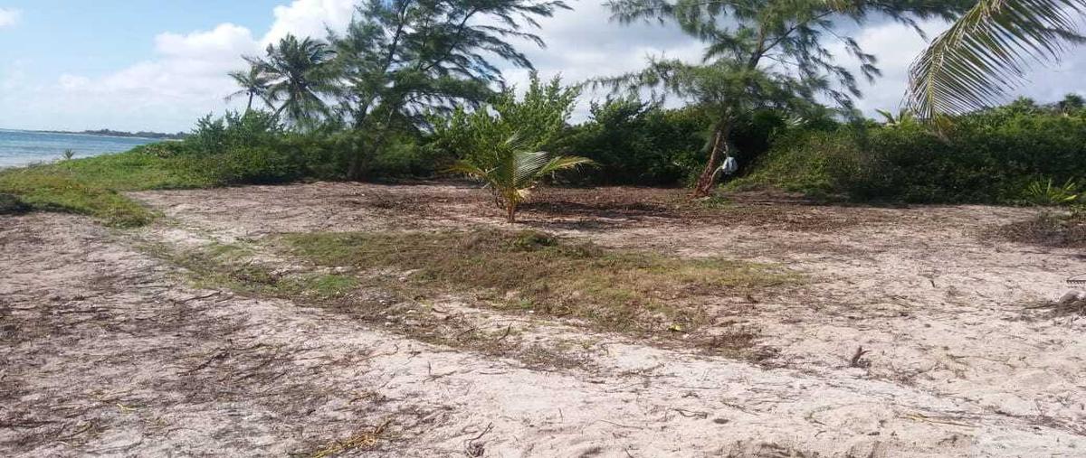 Foto de terreno habitacional en , mahahual, othón p. blanco, quintana roo, 16222032 foto 03 Foto de terreno habitacional en venta en , mahahual, othón p. blanco, quintana roo, 16222032 No. 03