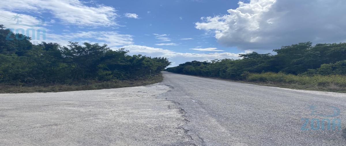 Foto de terreno habitacional en venta en  , mahahual, othón p. blanco, quintana roo, 0 No. 03