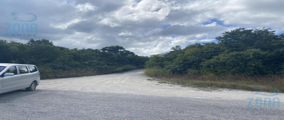 Foto de terreno habitacional en venta en  , mahahual, othón p. blanco, quintana roo, 0 No. 04