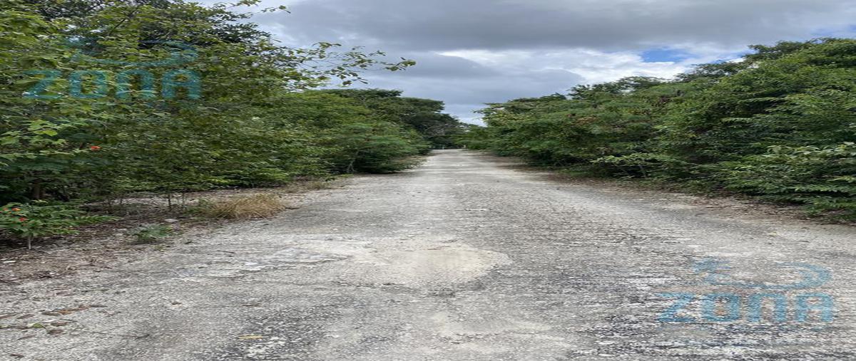 Foto de terreno habitacional en venta en  , mahahual, othón p. blanco, quintana roo, 0 No. 05
