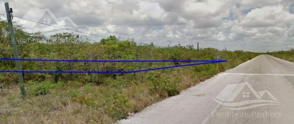 Foto de terreno habitacional en venta en  , mahahual, othón p. blanco, quintana roo, 26125987 No. 03