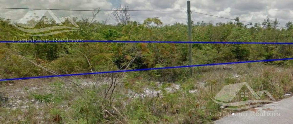 Foto de terreno habitacional en venta en  , mahahual, othón p. blanco, quintana roo, 26125987 No. 04
