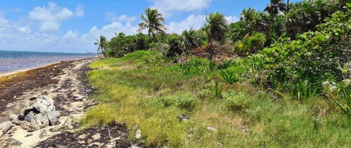 Foto de terreno habitacional en venta en  , mahahual, othón p. blanco, quintana roo, 26785559 No. 05