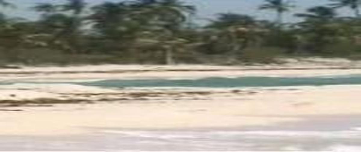 Foto de terreno habitacional en venta en  , mahahual, othón p. blanco, quintana roo, 0 No. 04