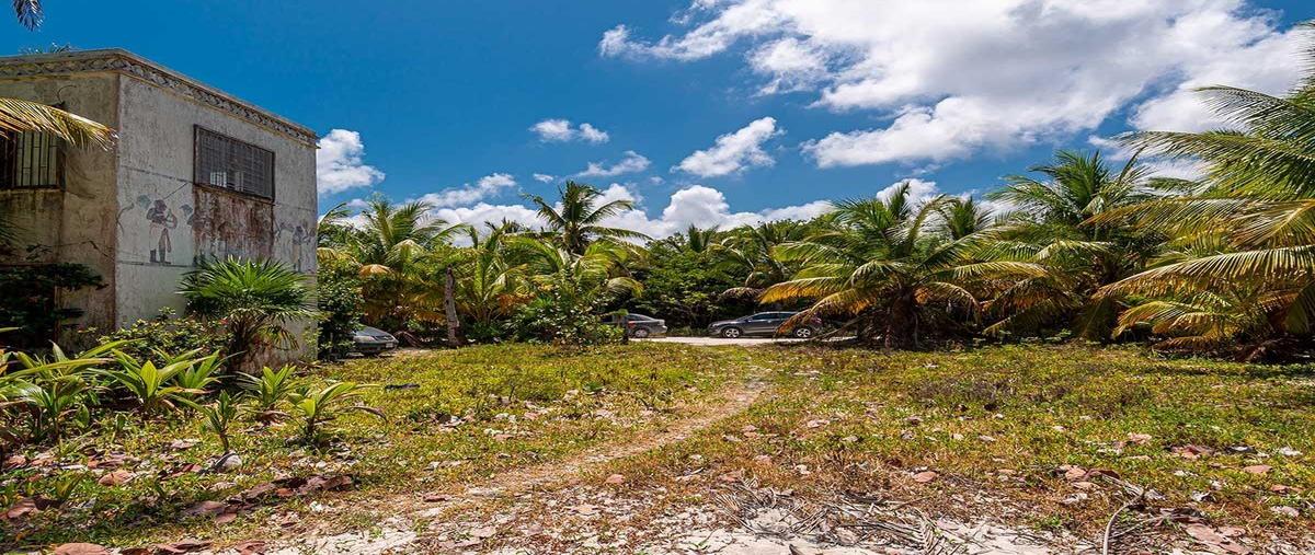 Foto de terreno habitacional en , mahahual, othón p. blanco, quintana roo, 28662861 foto 04 Foto de terreno habitacional en venta en , mahahual, othón p. blanco, quintana roo, 28662861 No. 04