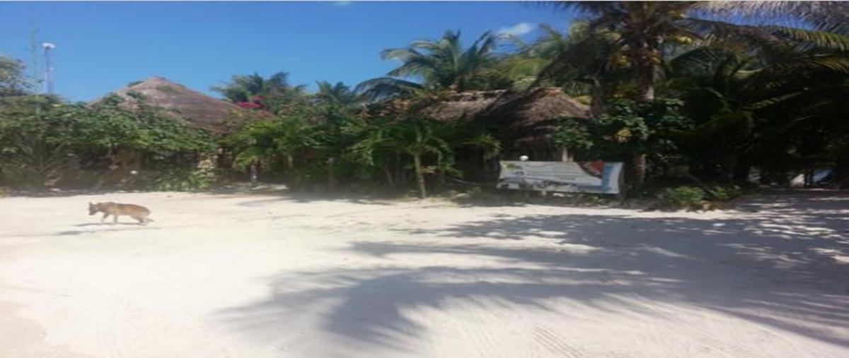 Foto de departamento en venta en  , mahahual, othón p. blanco, quintana roo, 0 No. 05