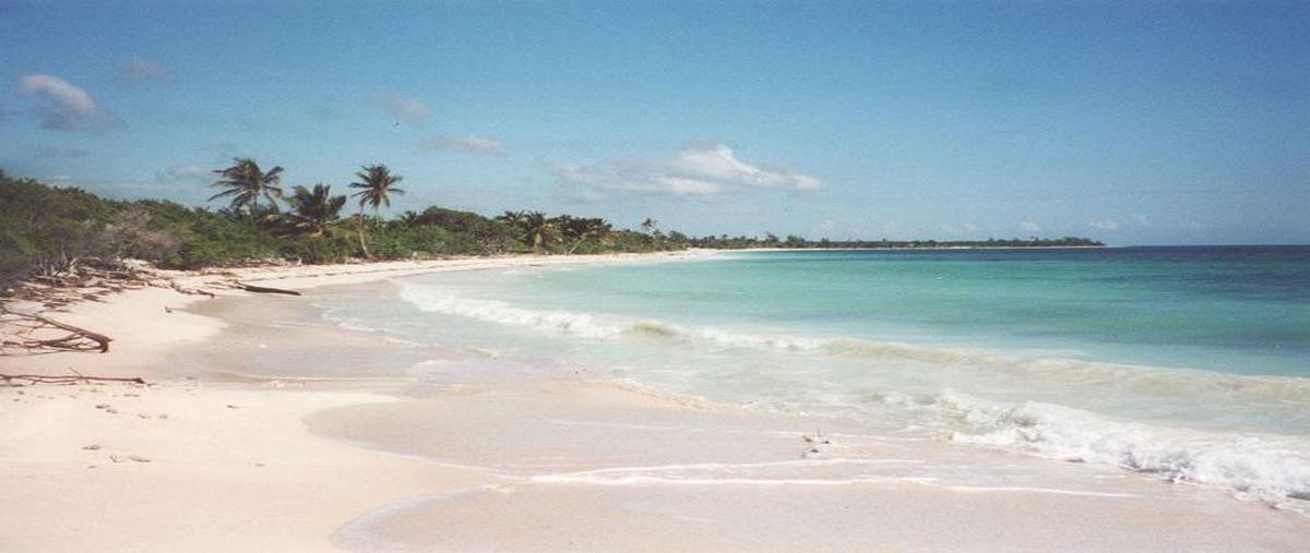 Foto de terreno habitacional en venta en  , mahahual, othón p. blanco, quintana roo, 0 No. 04