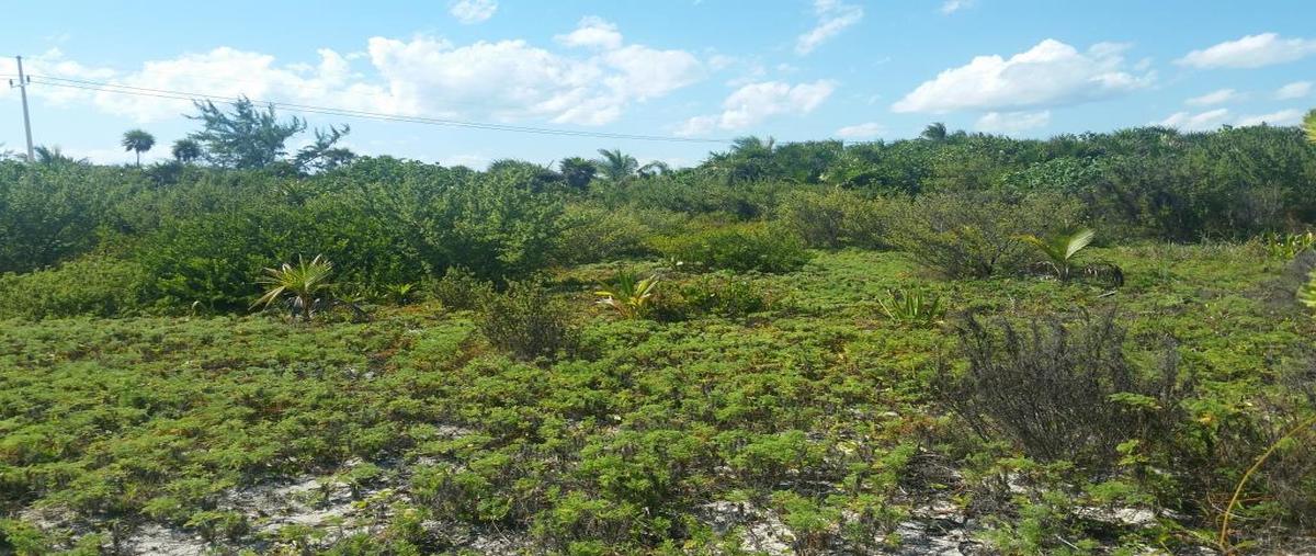 Foto de terreno habitacional en venta en  , mahahual, othón p. blanco, quintana roo, 0 No. 05