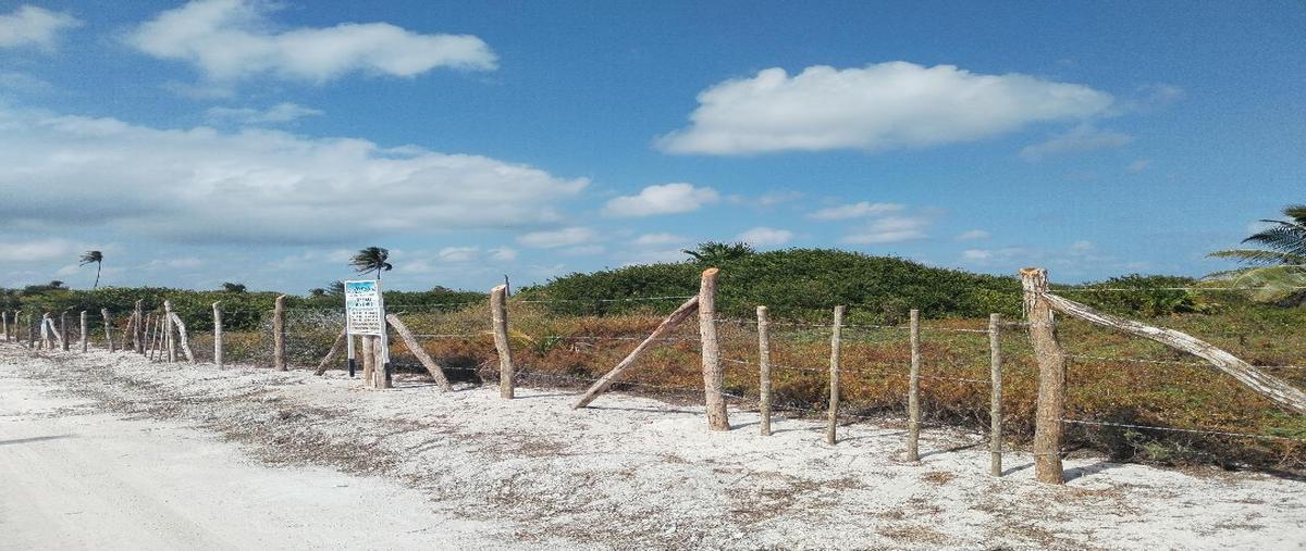 Foto de terreno habitacional en venta en  , mahahual, othón p. blanco, quintana roo, 0 No. 05