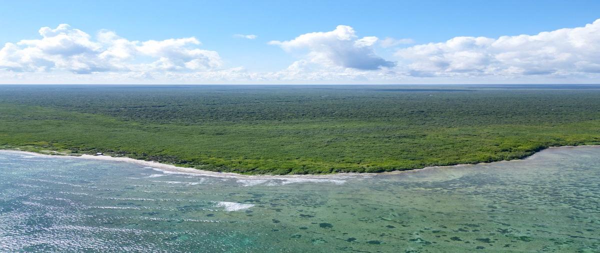 Foto de terreno habitacional en venta en  , mahahual, othón p. blanco, quintana roo, 29085354 No. 05