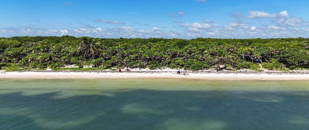 Foto de terreno habitacional en , mahahual, othón p. blanco, quintana roo, 0 foto 02 Foto de terreno habitacional en venta en , mahahual, othón p. blanco, quintana roo, 0 No. 02
