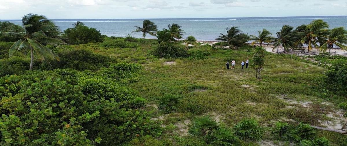 Foto de terreno habitacional en venta en  , mahahual, othón p. blanco, quintana roo, 0 No. 04