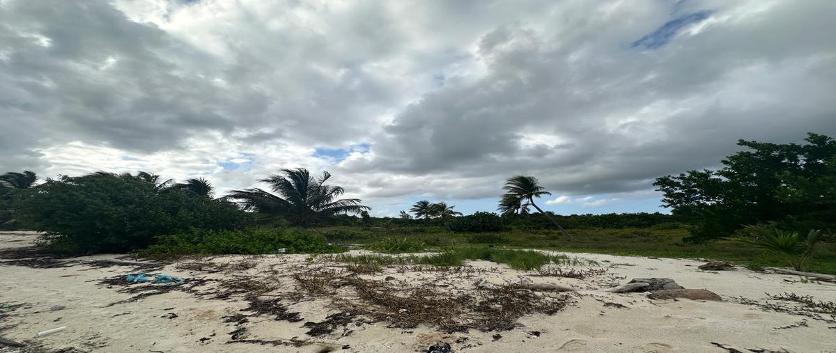 Foto de terreno habitacional en venta en  , mahahual, othón p. blanco, quintana roo, 0 No. 05