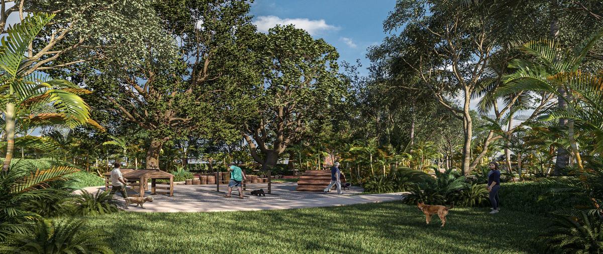 Foto de terreno habitacional en venta en  , mahahual, othón p. blanco, quintana roo, 0 No. 04