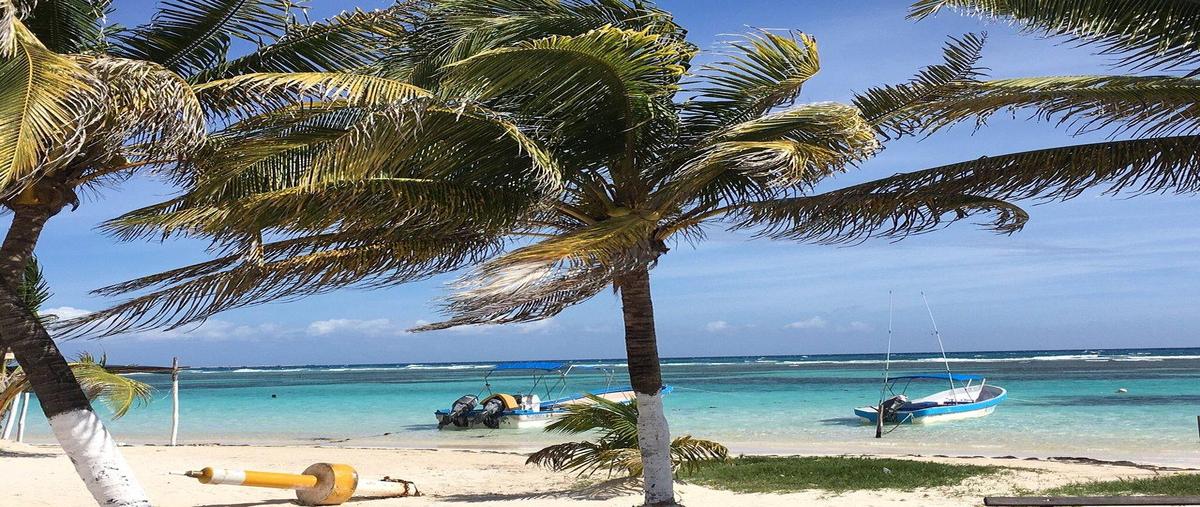Foto de departamento en venta en  , mahahual, othón p. blanco, quintana roo, 0 No. 03