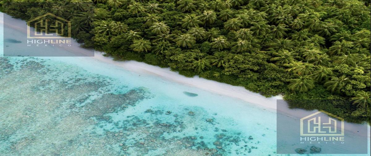 Foto de departamento en , mahahual, othón p. blanco, quintana roo, 30038563 foto 03 Foto de departamento en venta en , mahahual, othón p. blanco, quintana roo, 30038563 No. 03