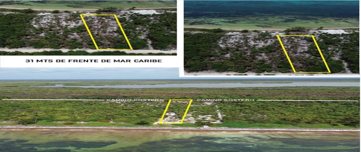 Foto de terreno habitacional en , mahahual, othón p. blanco, quintana roo, 30205215 foto 02 Foto de terreno habitacional en venta en , mahahual, othón p. blanco, quintana roo, 30205215 No. 02