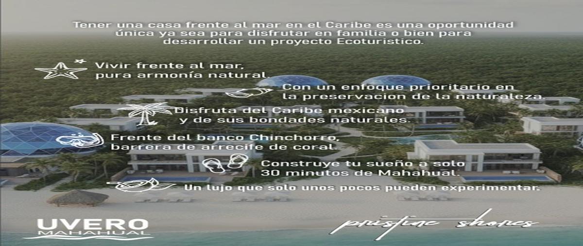 Foto de terreno habitacional en , mahahual, othón p. blanco, quintana roo, 30205215 foto 04 Foto de terreno habitacional en venta en , mahahual, othón p. blanco, quintana roo, 30205215 No. 04
