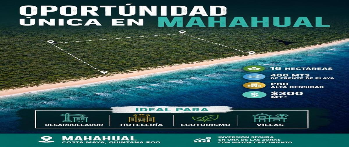 Foto de terreno habitacional en , mahahual, othón p. blanco, quintana roo, 30205216 foto 04 Foto de terreno habitacional en venta en , mahahual, othón p. blanco, quintana roo, 30205216 No. 04