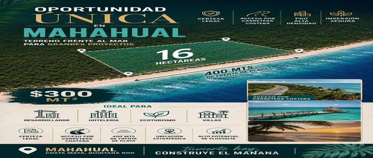Foto de terreno habitacional en , mahahual, othón p. blanco, quintana roo, 30205216 foto 05 Foto de terreno habitacional en venta en , mahahual, othón p. blanco, quintana roo, 30205216 No. 05