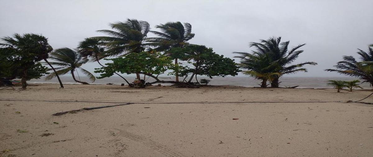 Foto de terreno habitacional en venta en  , mahahual, othón p. blanco, quintana roo, 30299122 No. 04