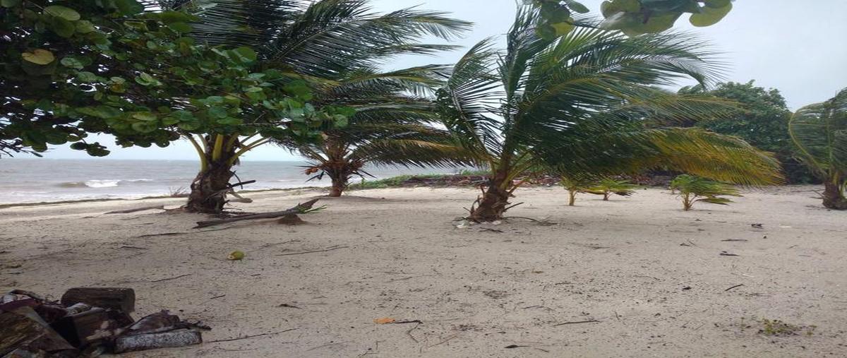 Foto de terreno habitacional en venta en  , mahahual, othón p. blanco, quintana roo, 30299122 No. 05
