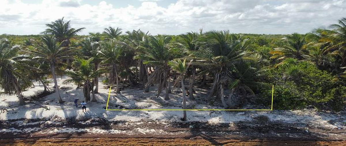 Foto de terreno habitacional en , mahahual, othón p. blanco, quintana roo, 30299296 foto 02 Foto de terreno habitacional en venta en , mahahual, othón p. blanco, quintana roo, 30299296 No. 02