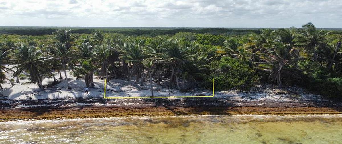 Foto de terreno habitacional en , mahahual, othón p. blanco, quintana roo, 30299296 foto 03 Foto de terreno habitacional en venta en , mahahual, othón p. blanco, quintana roo, 30299296 No. 03