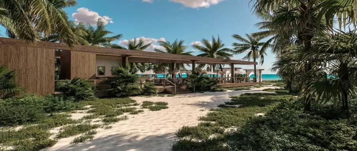 Foto de rancho en venta en  , mahahual, othón p. blanco, quintana roo, 0 No. 05