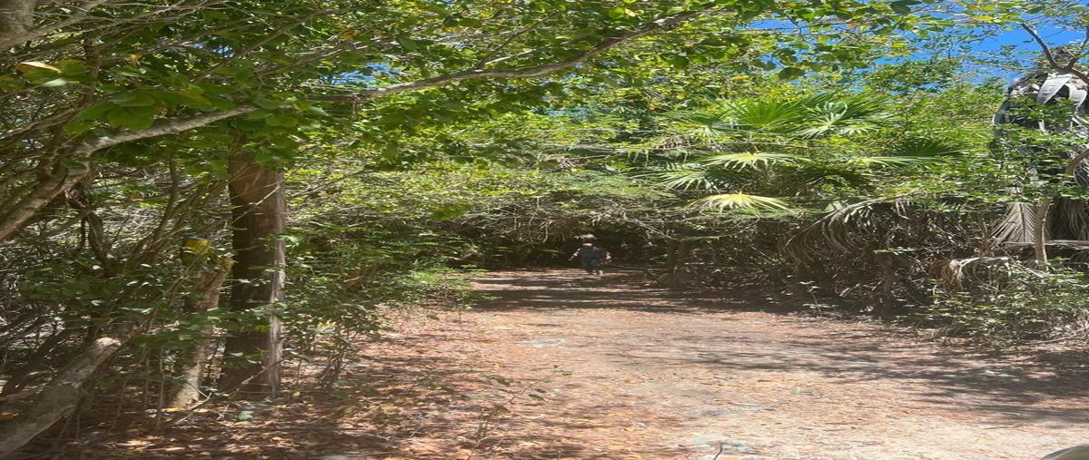 Foto de terreno habitacional en venta en  , mahahual, othón p. blanco, quintana roo, 0 No. 05
