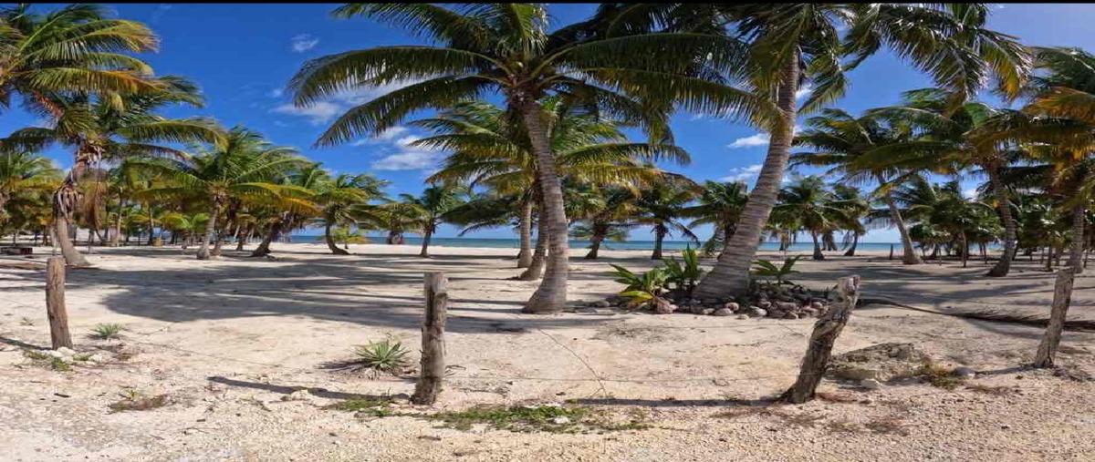 Foto de terreno habitacional en venta en  , mahahual, othón p. blanco, quintana roo, 0 No. 03