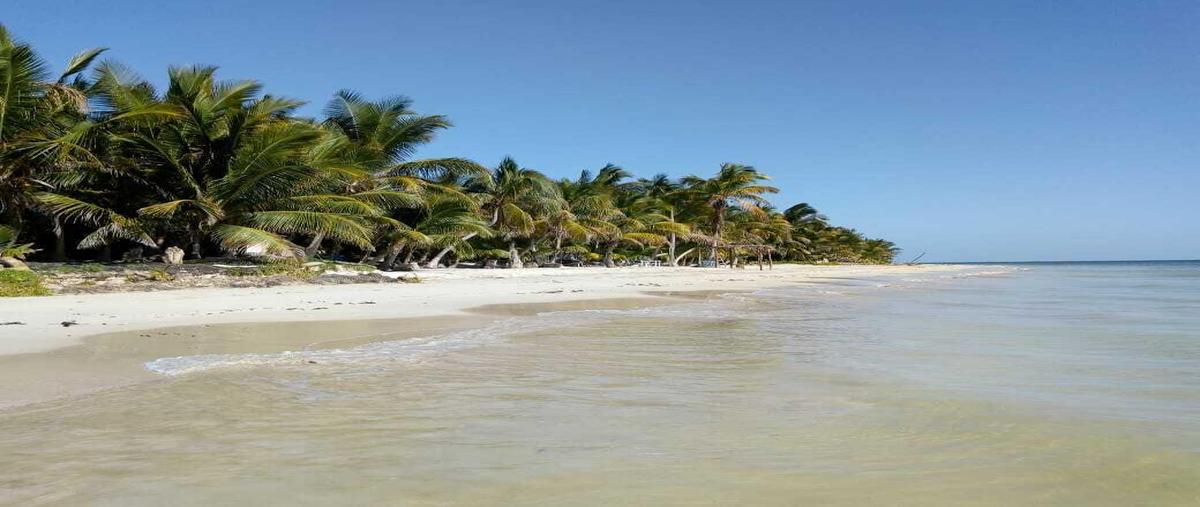 Foto de terreno habitacional en venta en  , mahahual, othón p. blanco, quintana roo, 30657905 No. 03