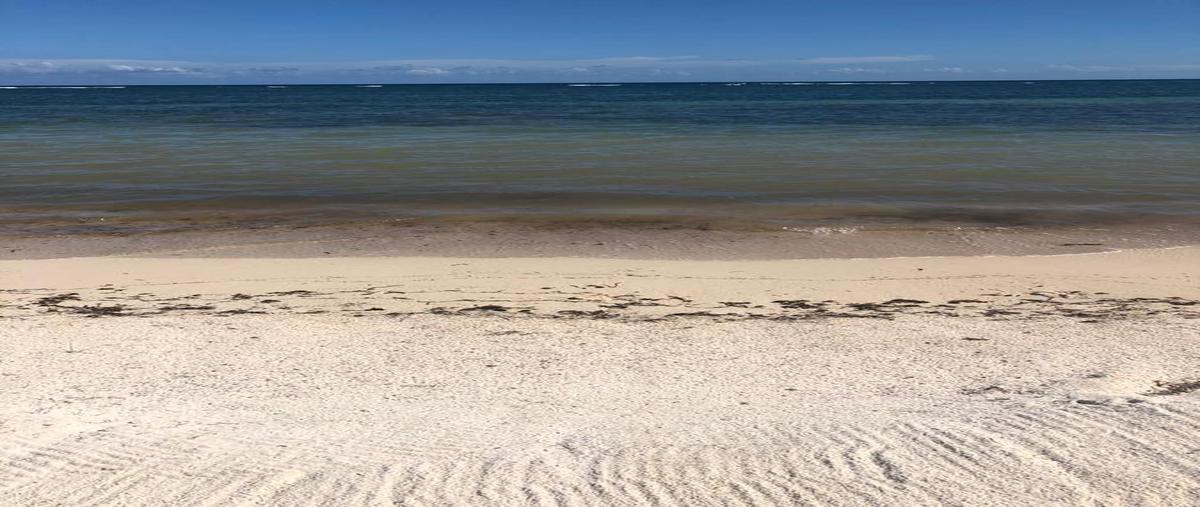 Foto de casa en venta en  , mahahual, othón p. blanco, quintana roo, 0 No. 03