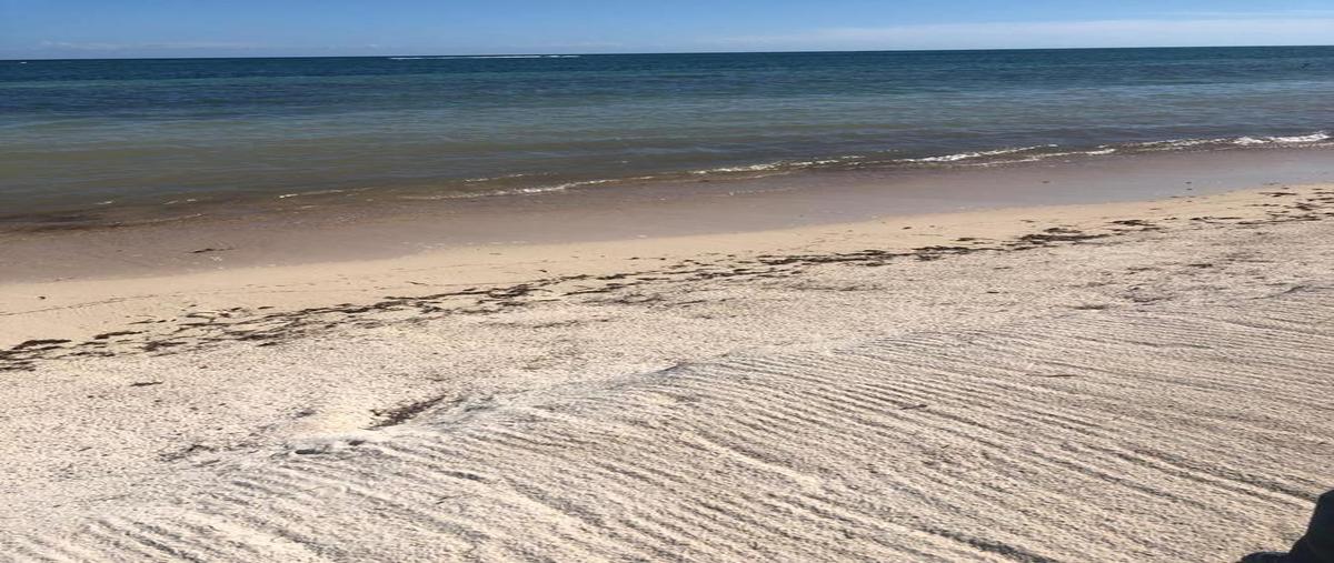 Foto de casa en venta en  , mahahual, othón p. blanco, quintana roo, 0 No. 04
