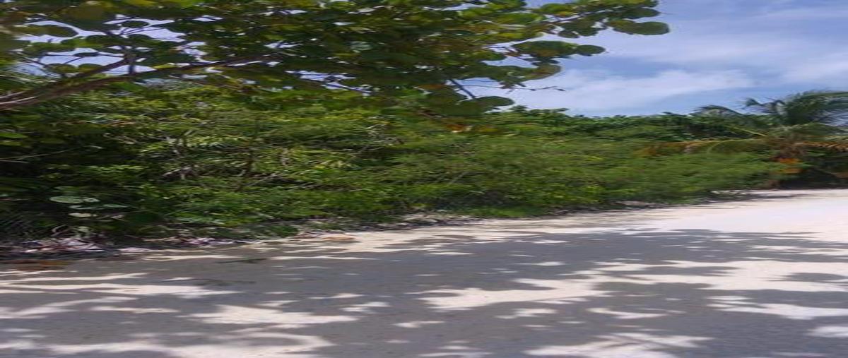 Foto de terreno habitacional en venta en  , mahahual, othón p. blanco, quintana roo, 30889653 No. 04