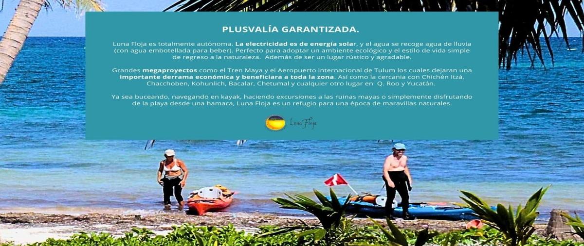 Foto de terreno habitacional en venta en  , mahahual, othón p. blanco, quintana roo, 0 No. 05