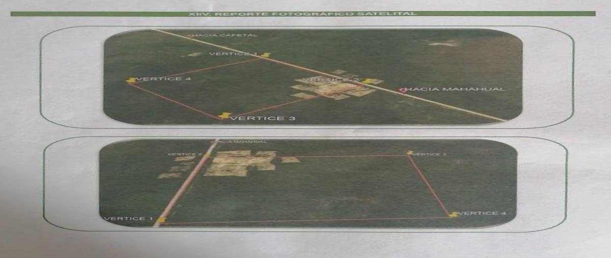 Foto de terreno habitacional en venta en  , mahahual, othón p. blanco, quintana roo, 0 No. 03