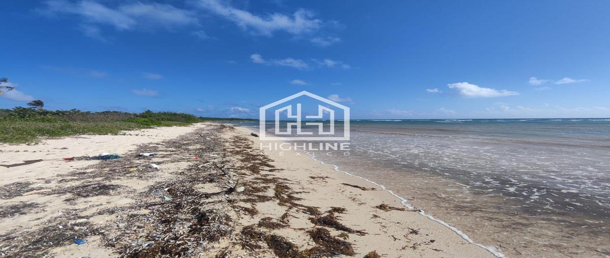 Foto de terreno habitacional en venta en  , mahahual, othón p. blanco, quintana roo, 31338385 No. 05