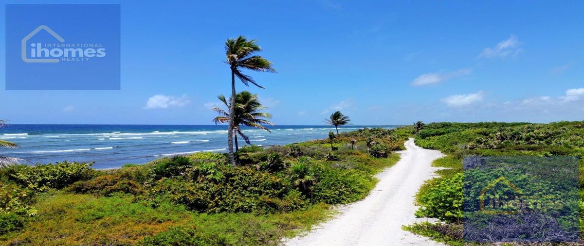 Foto de terreno habitacional en venta en  , mahahual, othón p. blanco, quintana roo, 0 No. 03