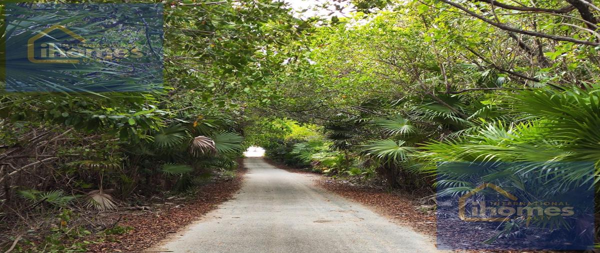 Foto de terreno habitacional en venta en  , mahahual, othón p. blanco, quintana roo, 0 No. 04