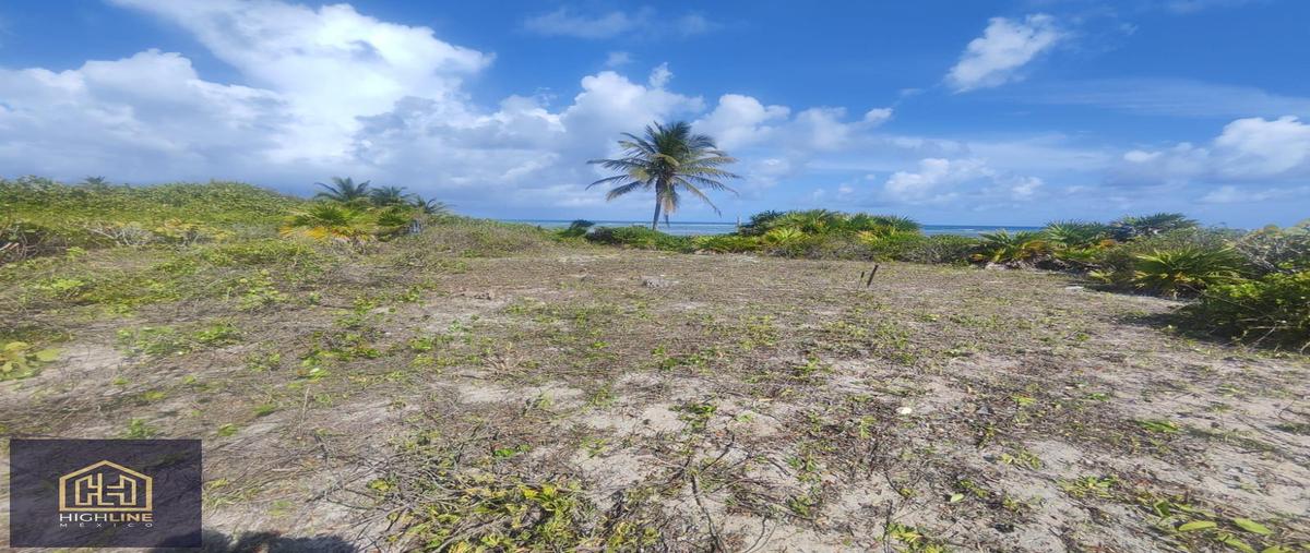 Foto de terreno habitacional en , mahahual, othón p. blanco, quintana roo, 0 foto 04 Foto de terreno habitacional en venta en , mahahual, othón p. blanco, quintana roo, 0 No. 04
